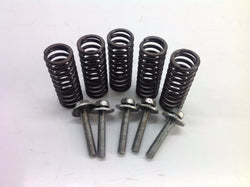 SUZUKI RMZ 250 2007 CLUTCH SPRINGS & BOLTS 0005A